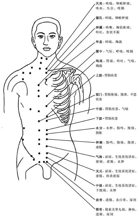 人身穴位圖|互動版人體穴位圖